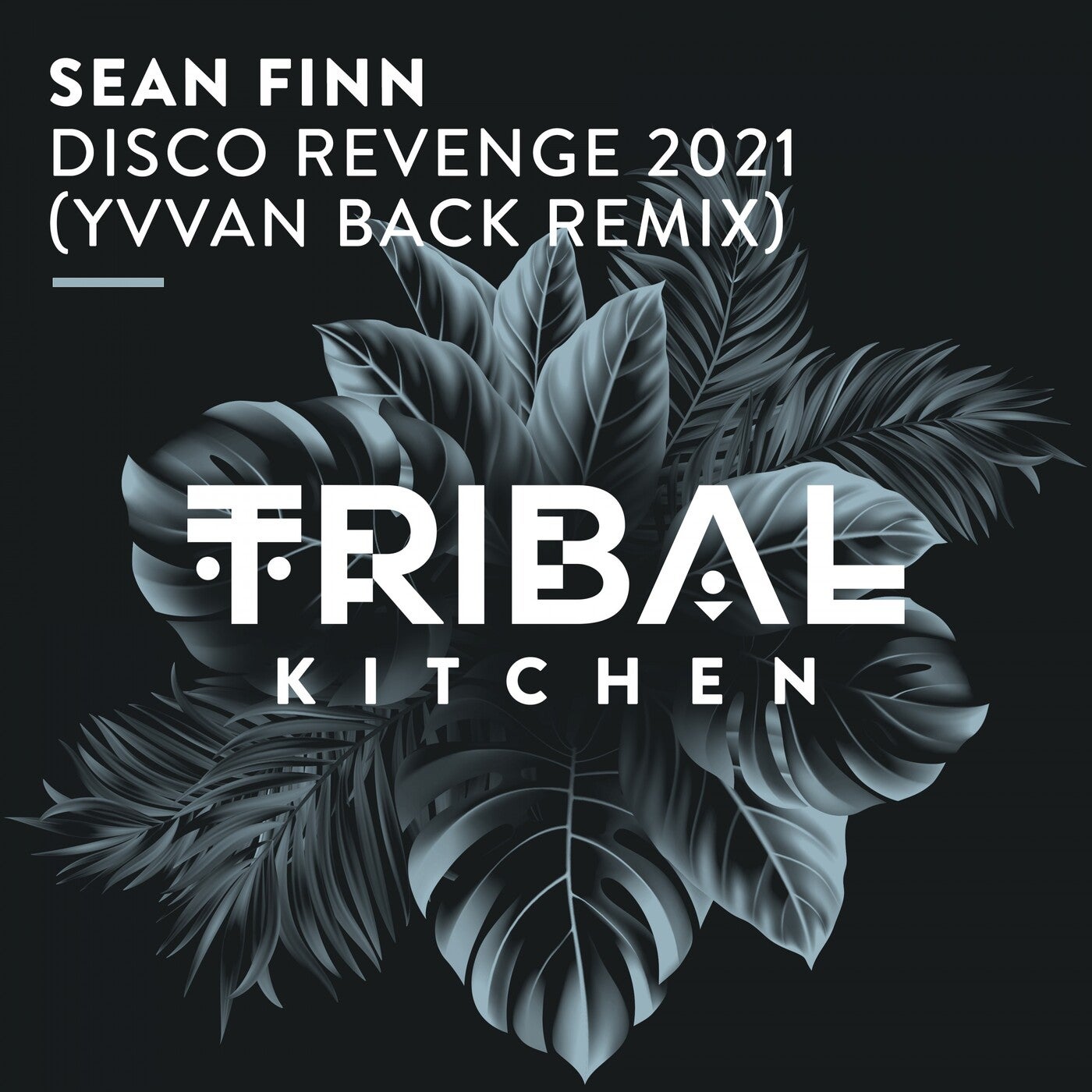Sean Finn - Disco Revenge 2021 (Yvvan Back Remix)