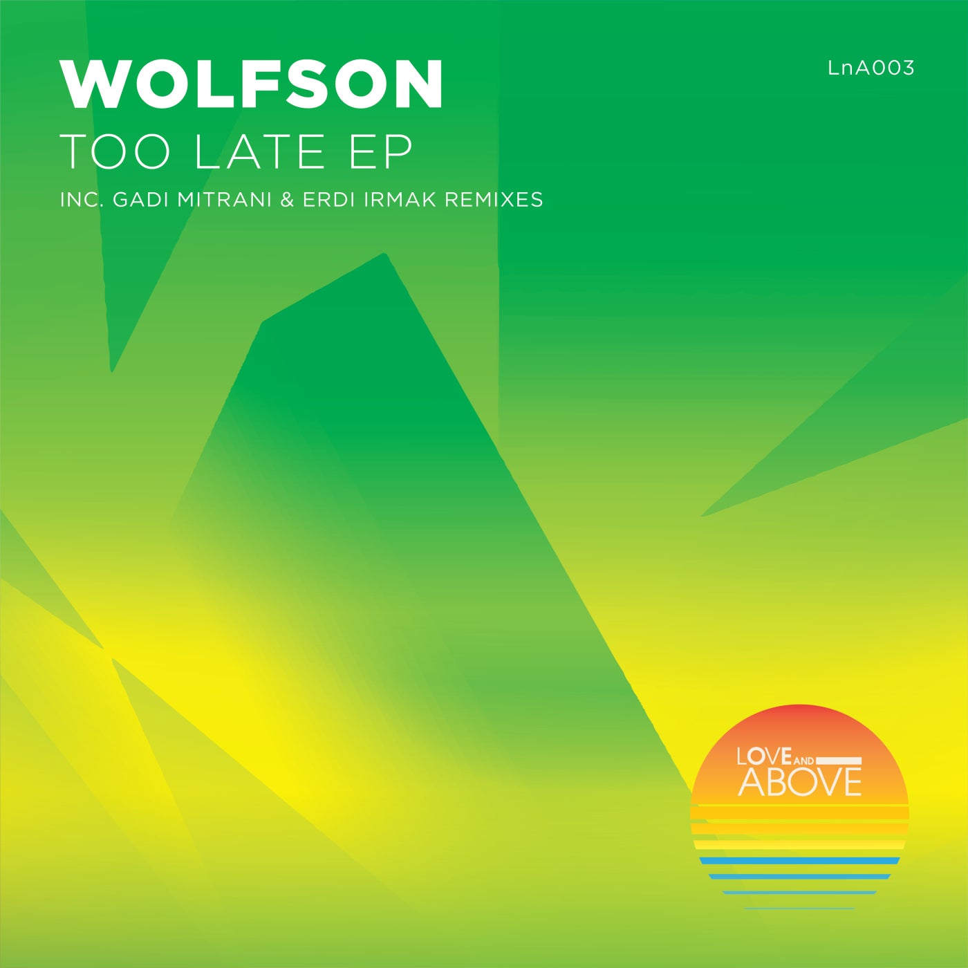 Wolfson - Too Late (Erdi Irmak Remix)