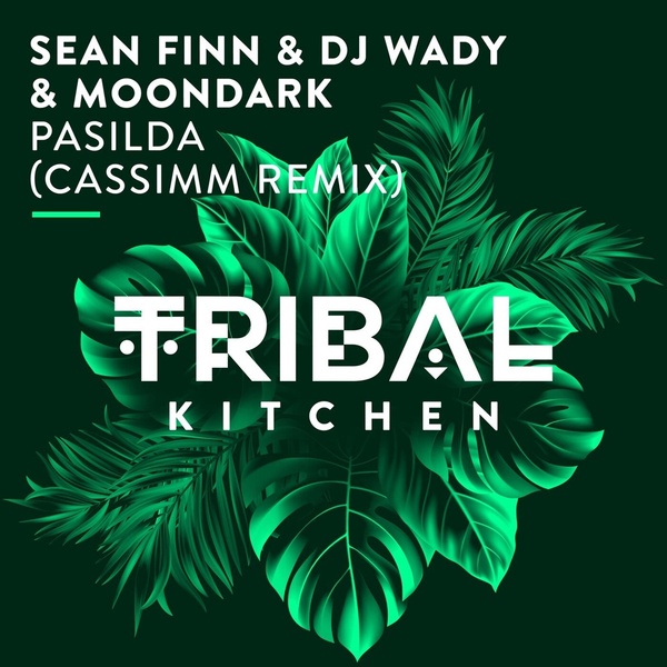 DJ Wady, Sean Finn, MoonDark - Pasilda (Cassimm Remix)