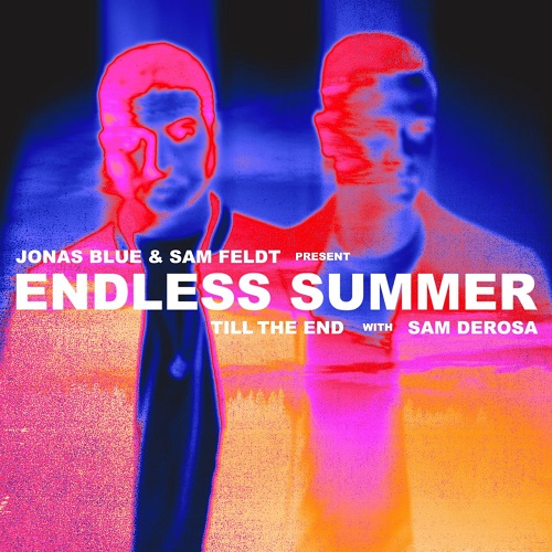 Jonas Blue & Sam Feldt Pres. Endless Summer & Sam Derosa - Till The End (Extended Mix)