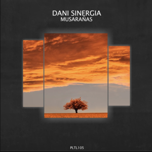 Dani Sinergia - N5 (Original Mix)