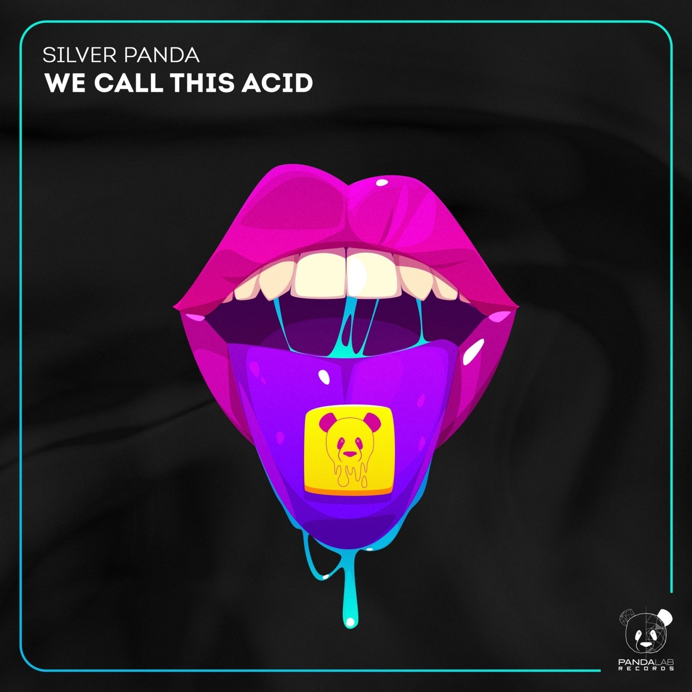 Silver Panda - We Call This Acid (Original Mix)