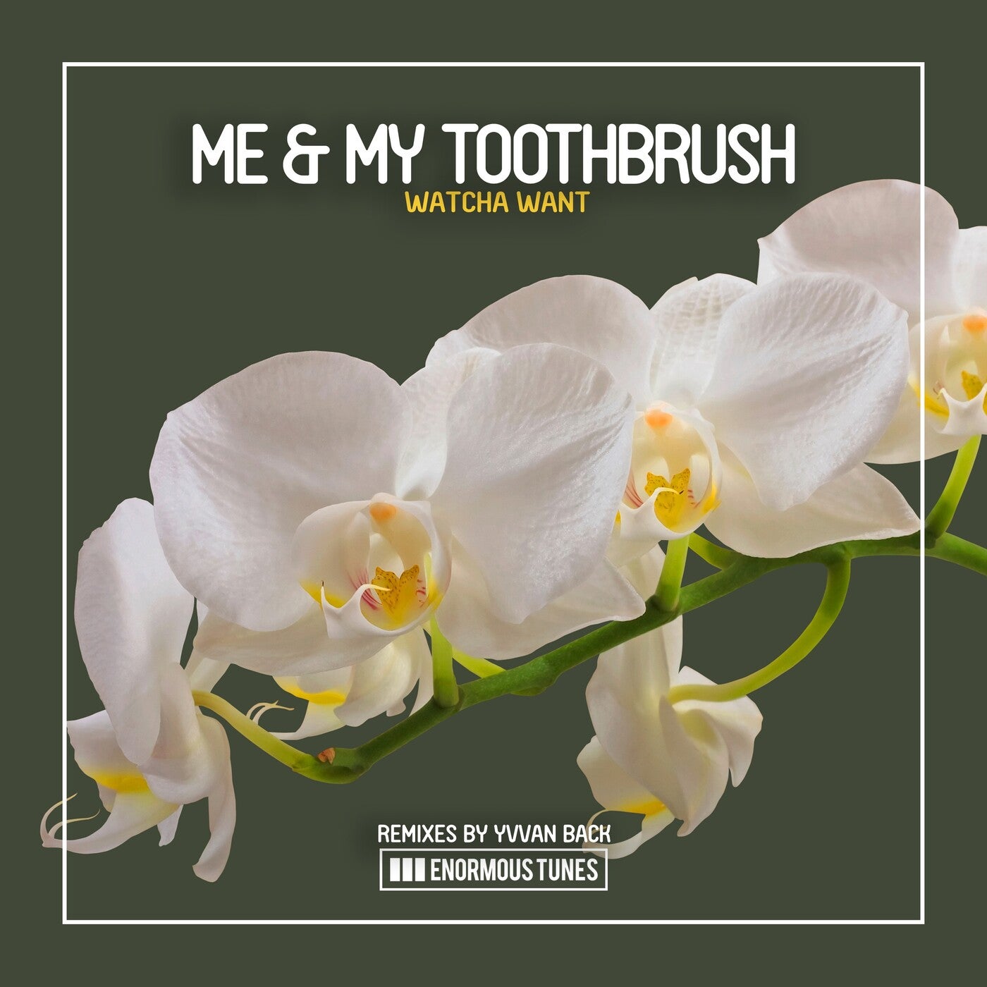 Me & My Toothbrush - Watcha Want (Yvvan Back Extended Remix)