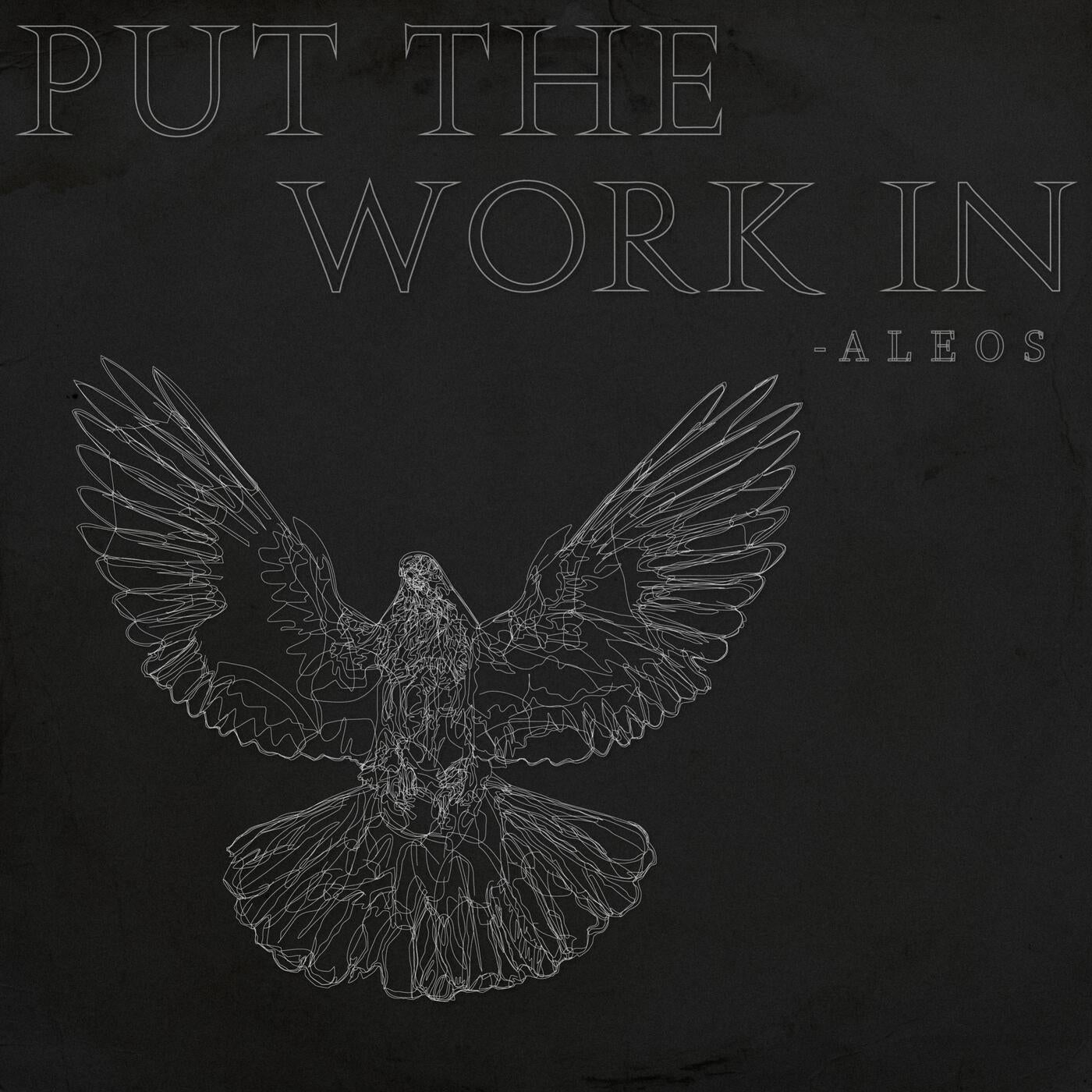 Aleos - Put The Work In (Extended Mix)