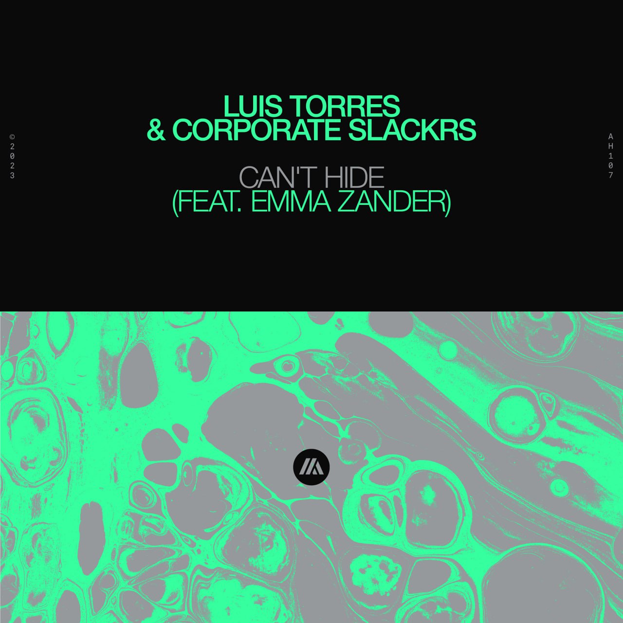 Luis Torres & Corporate Slackrs feat. Emma Zander - Can't Hide (Extended Mix)