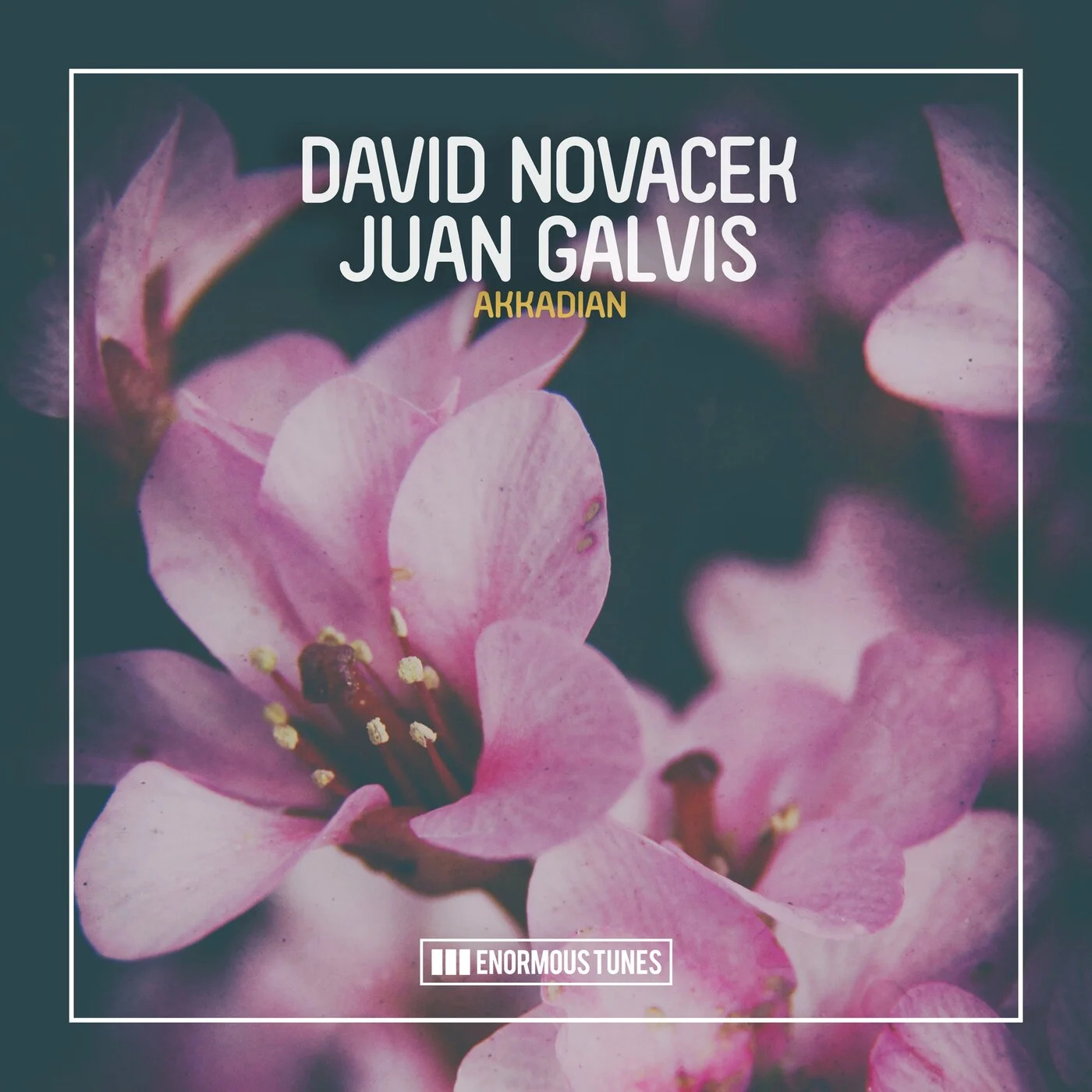 David Novacek & Juan Galvis - Akkadian (Extended Mix)
