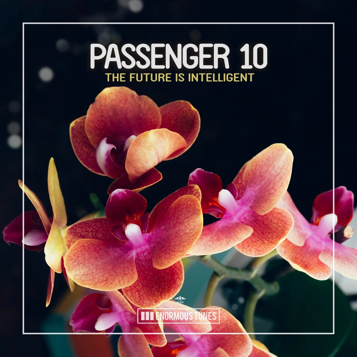 Passenger 10 - The Future Is Intelligent (Extended Mix)