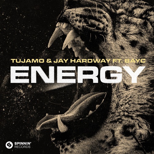 Tujamo & Jay Hardway, BayC - Energy (Extended Mix)