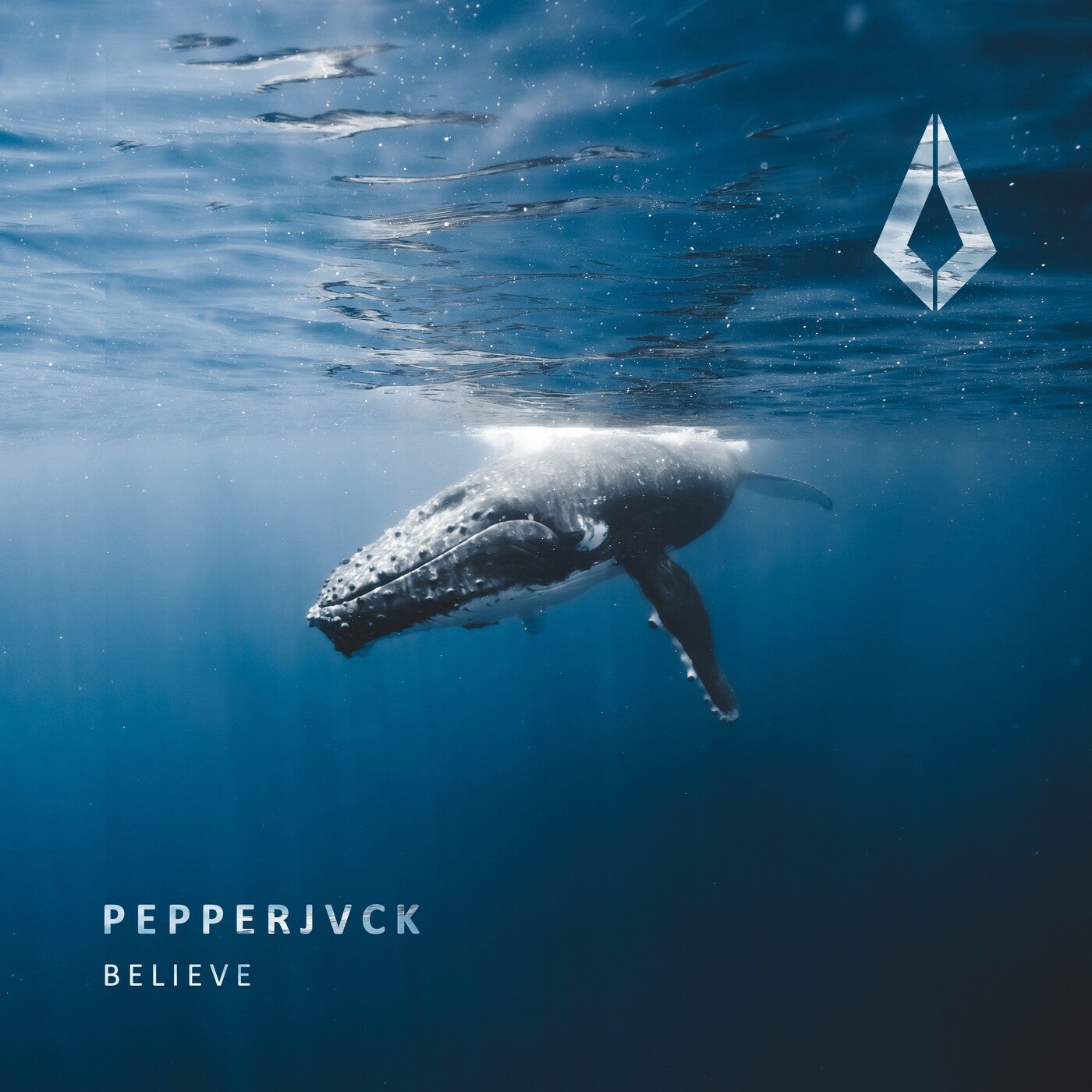 Pepperjvck - Believe (Extended Mix)