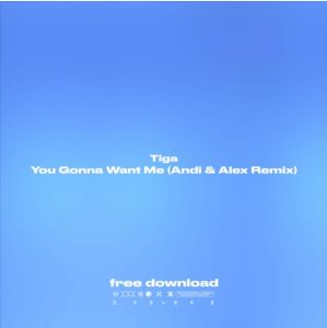 Tiga - You Gonna Want Me (Andi & Alex Remix)