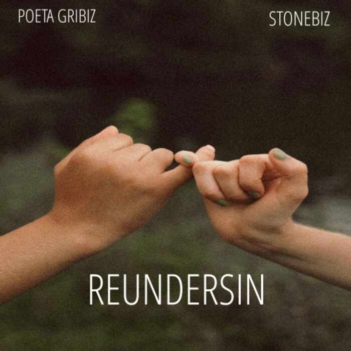 Poeta Gribiz, stonebiz - Reundersin (Original Mix)
