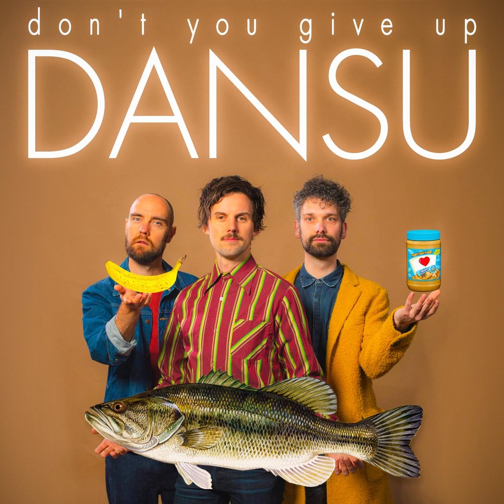 Dansu - Don't You Give Up