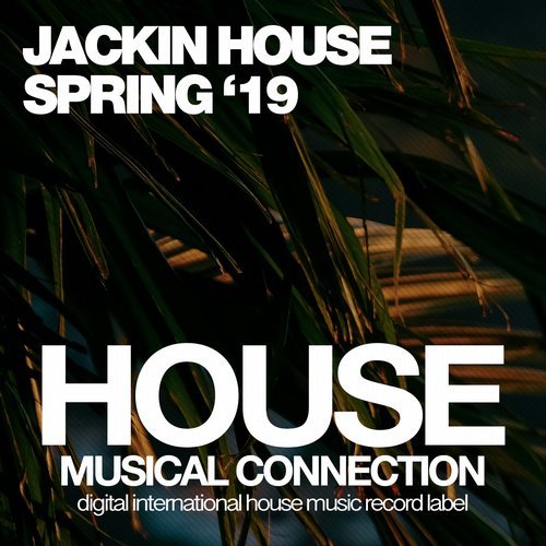 Brian Rogers - Tech The House (Original Mix)