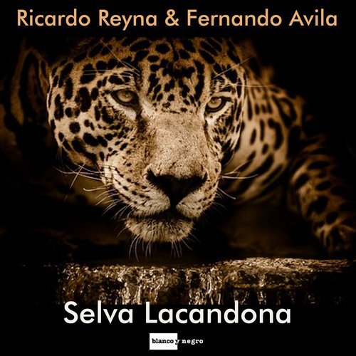 Ricardo Reyna, Fernando Avila - Selva Lacandona (Original Mix)