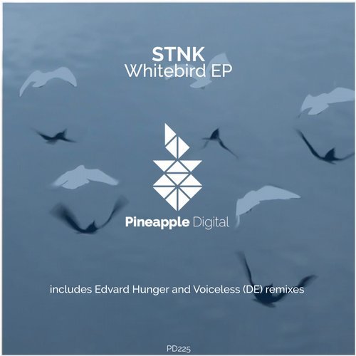 STNK - Whitebird (Voiceless Remix)