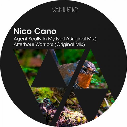 Nico Cano - Afterhour Warriors (Original Mix)