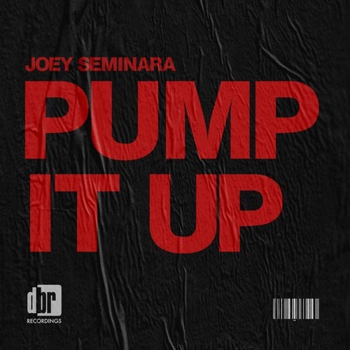 Joey Seminara - Pump It Up (Original Mix)