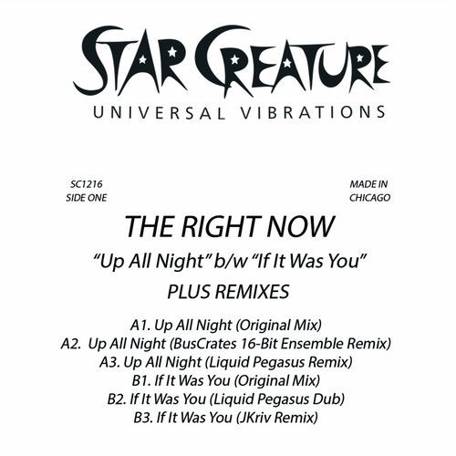 The Right Now - Up All Night (Liquid Pegasus Remix)
