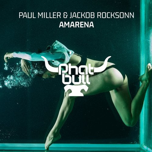 Paul Miller & Jackob Rocksonn - Amarena (Extended Mix)