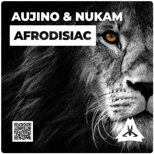 NuKam, Aujino - Afrodisiac (Original Mix)