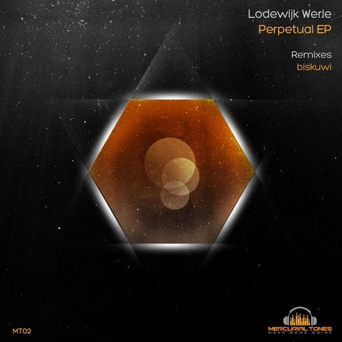 Lodewijk Werle - Perpetual (Original Mix)