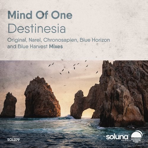 Mind Of One - Destinesia (Blue Harvest Remix)