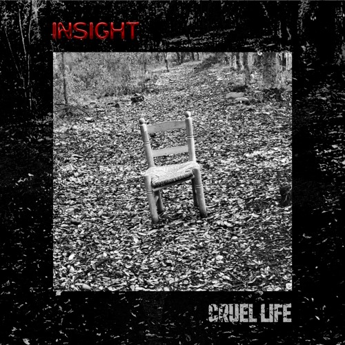 Insight - Cruel Life (Reflection Remix)