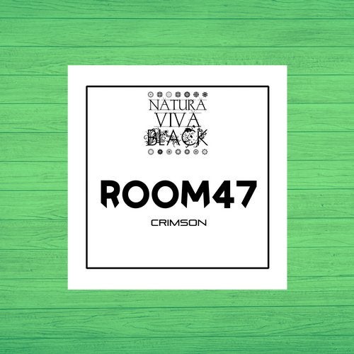 Room47 - Space Kadett (Original Mix)