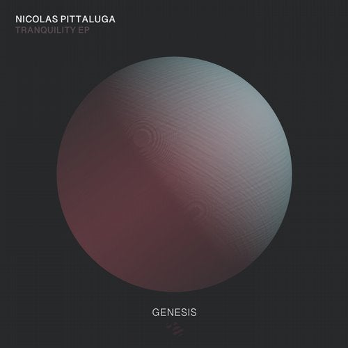 Nicolas Pittaluga - Akasha (Original Mix)