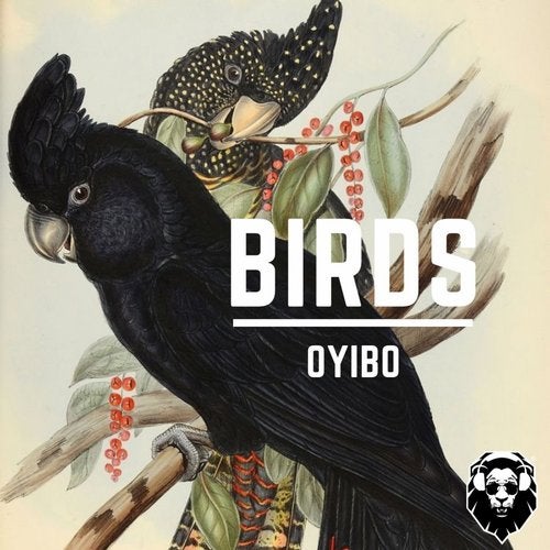 Oyibo - Birds (Original Mix)