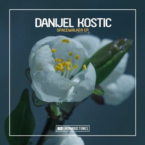 Danijel Kostic - Quasar (Original Club Mix)