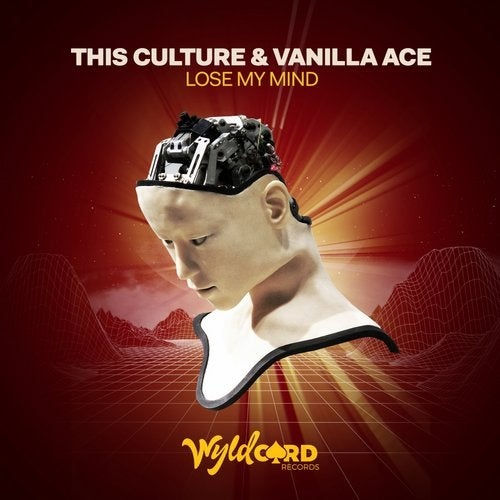 Vanilla Ace, This Culture - Lose My Mind (Original Mix)