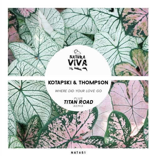 Kotapski, Thompson - Where Did Your Love Go (Kotapski Edit)