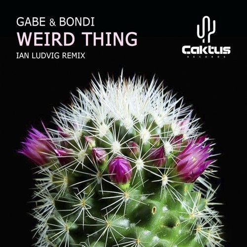 Gabe, BONDI - Weird Thing (Ian Ludvig Remix)