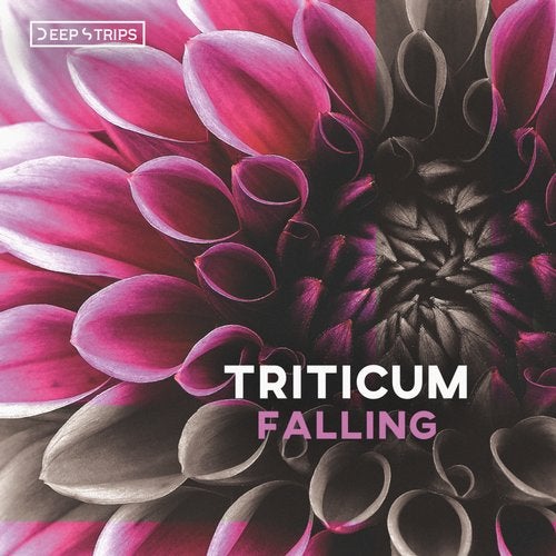 Triticum - Falling (Original Mix)