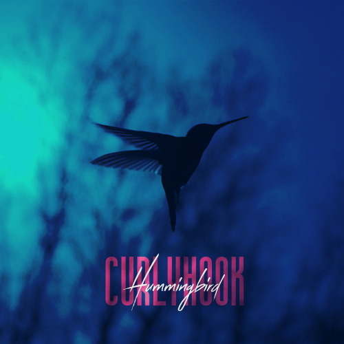Curly Hook - Hummingbird (Original Mix)