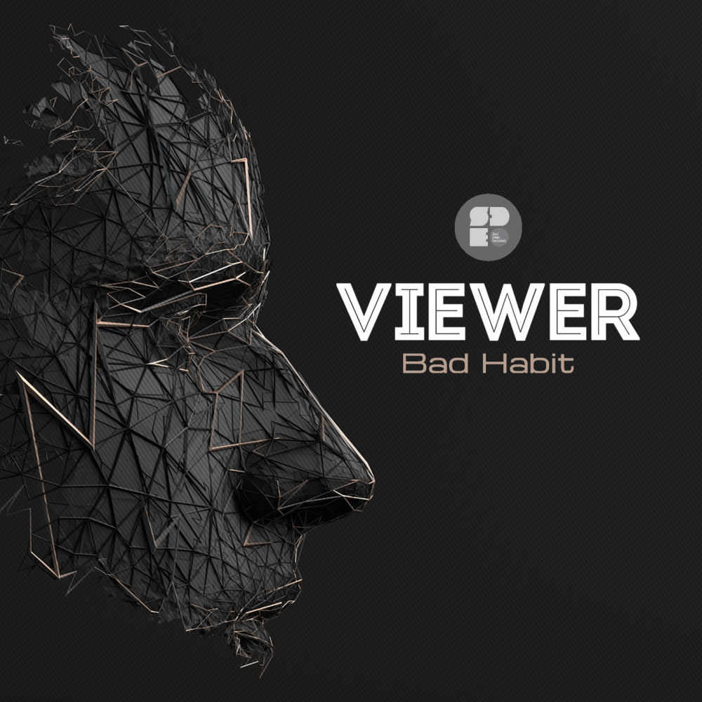Viewer - Leave (Original Mix)