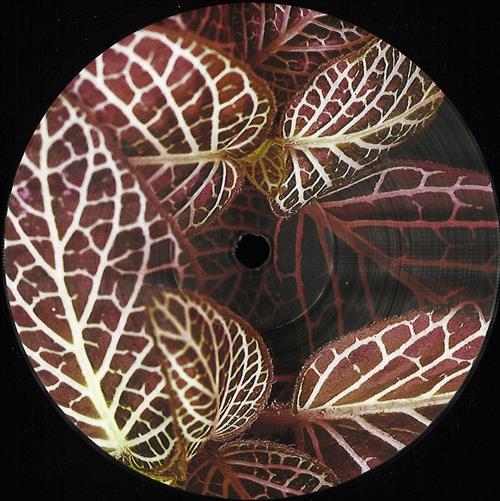 Unknown - A Side