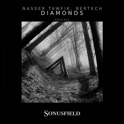 Bertech, Nasser Tawfik - Manhattan (Original Mix)
