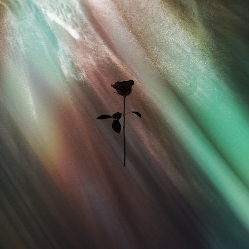 Eleonora, Alberth - Open Sky (Original Mix)