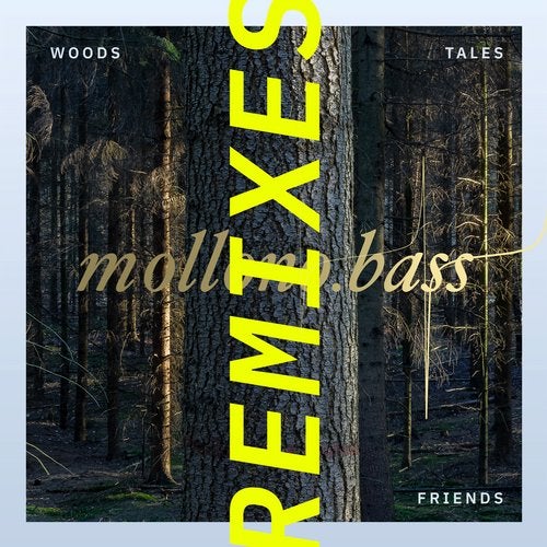 Mollono.Bass feat. I Am Halo - My Way (Einmusik Remix)