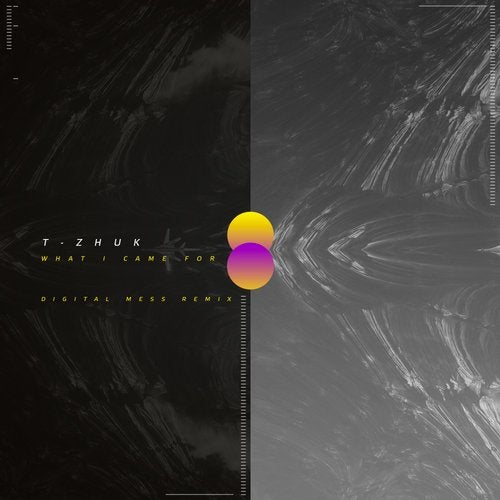 t-Zhuk - What I Came For (Digital Mess Remix)