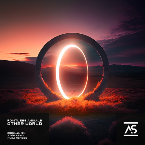Pointless Animals - Other World (Atom Extended Remix)