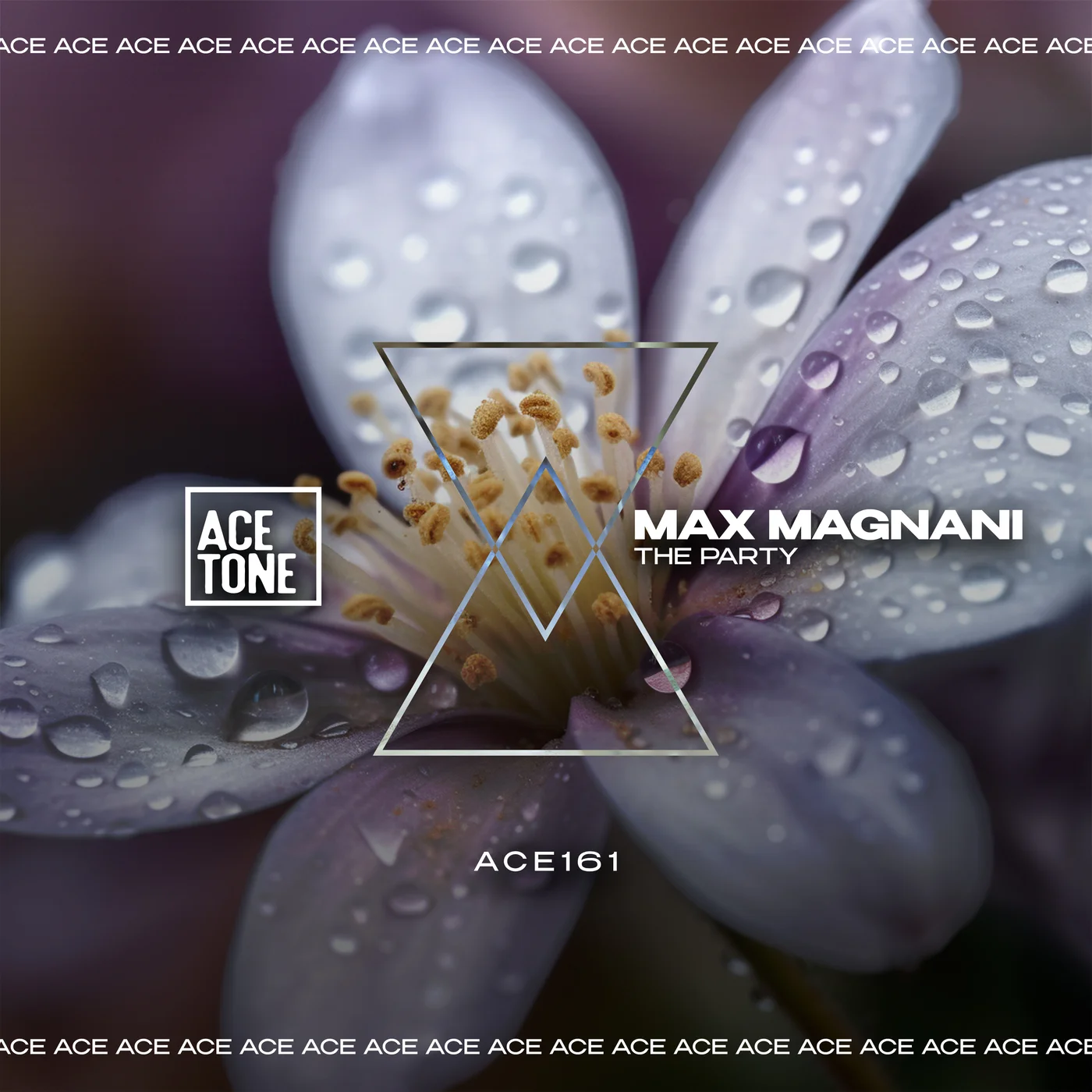 Max Magnani - The Party (Original Mix)