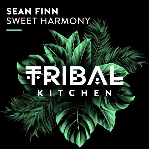 Sean Finn - Sweet Harmony (Extended Mix)