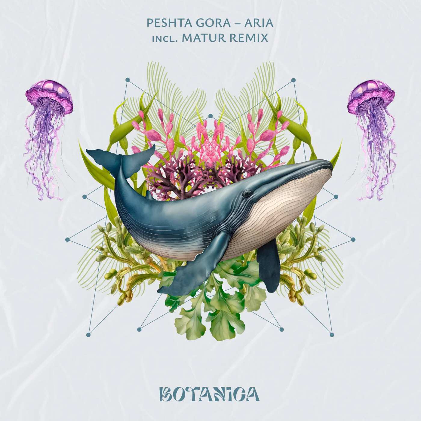 Peshta Gora - Aria (Extended Mix)