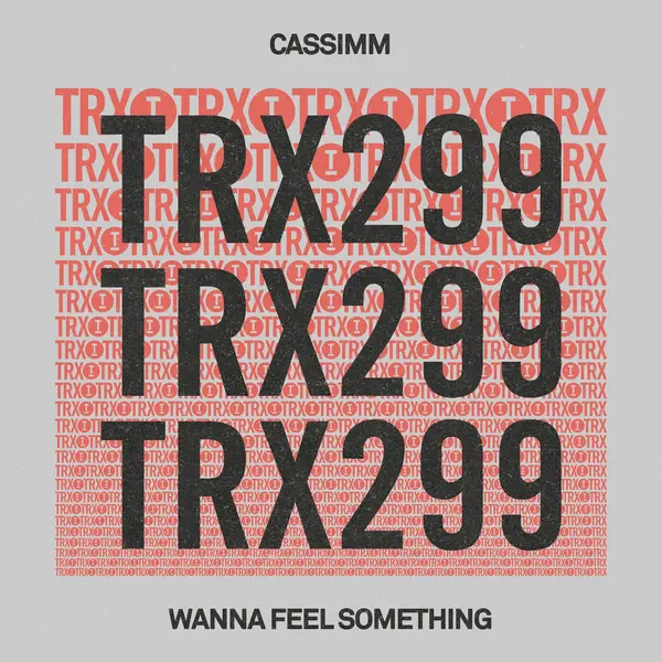 Cassimm - Wanna Feel Something (Extended Mix)