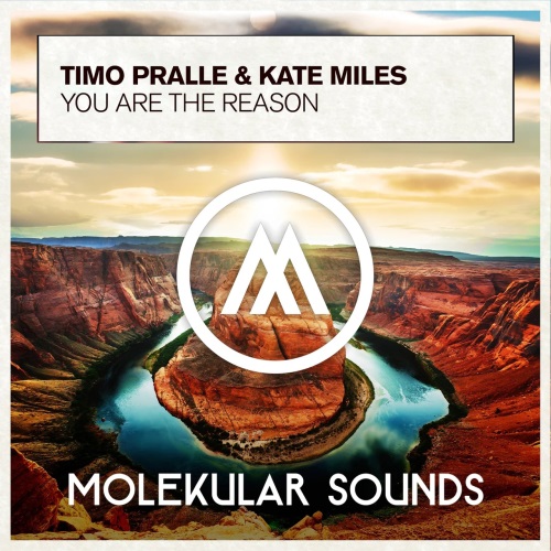 Timo Pralle & Kate Miles - You Are The Reason (Extended Mix)