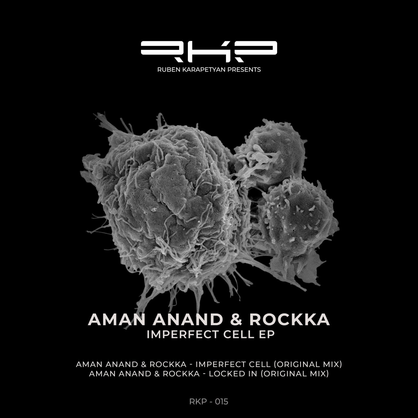 Aman Anand & Rockka - Imperfect Cell (Original Mix)