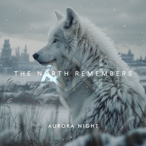 Aurora Night - The North Remembers (Original Mix)